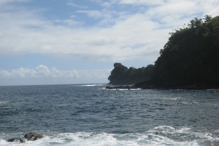 ../image/hawaii tropical botanical garden - onomea bay8.jpg